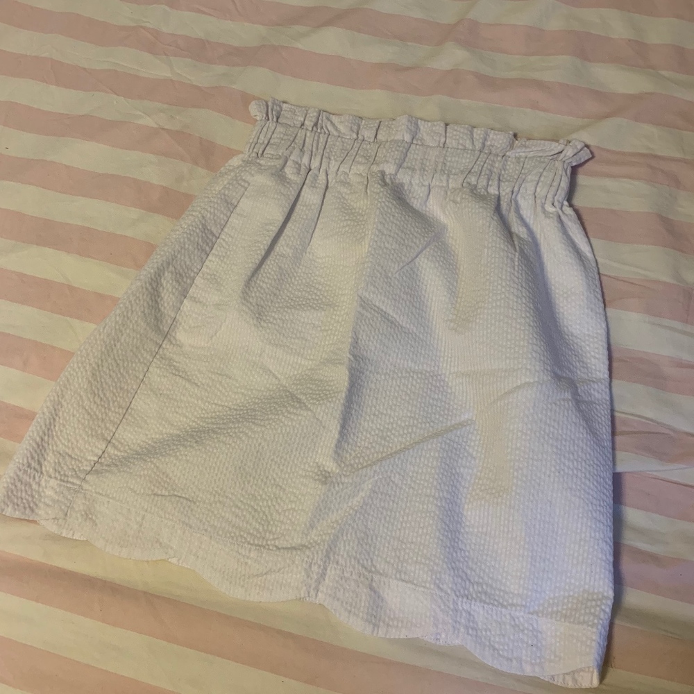 Lauren James Seersucker Skirt